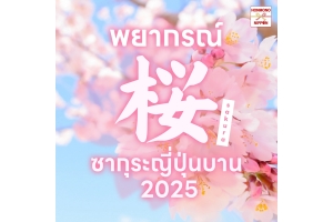 พยากรณ์ ซากุระบาน 2025