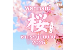 พยากรณ์ ซากุระบาน 2025