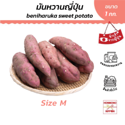 มันหวานญี่ปุ่น เบนิฮารุกะ ไซส์ M ขนาด 1 กก. - Sweet Potato Benni-Haruka M Size