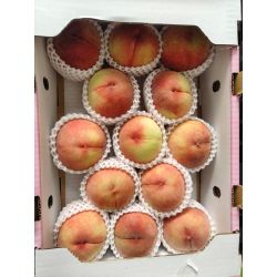 [ยกลัง 13 ลูก] FRESH PEACH (Size 13 BALL)