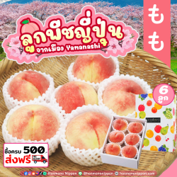 [Gift Box 6 ลูก] ลูกพีช จากเมืองยามานาชิ - Peach from Yamanashi 
