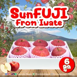 [Gift Box 6 ลูก] แอปเปิลซันฟูจิ จากเมืองอิวาเตะ - Sun Fuji Apple from Iwate