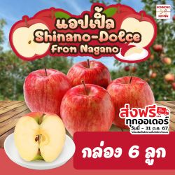 [Gift Box 6 ลูก] แอปเปิลญี่ปุ่น สายพันธุ์ชินาโน ดอลเช่ จากเมืองนากาโนะ - Shinano Dolce Apple From Nagano