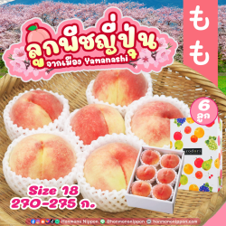 [Gift Box 6 ลูก] ลูกพีช จากเมืองยามานาชิ (Size 18) - Peach from Yamanashi 