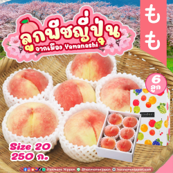 [Gift Box 6 ลูก] ลูกพีช จากเมืองยามานาชิ (Size 20) - Peach from Yamanashi 