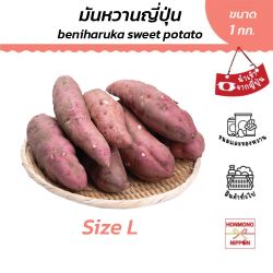 มันหวานญี่ปุ่น เบนิฮารุกะ ไซส์ L ขนาด 1 กิโลกรัม - SWEET POTATO BENI-HARUKA L SIZE