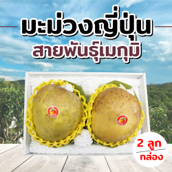 [Gift Box 2 ลูก] มะม่วง สายพันธุ์เมกุมิ - Mango Megumi