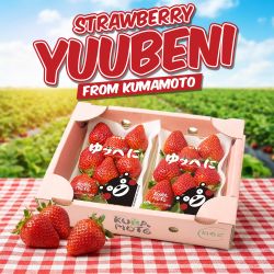 [250 กรัม x 2 แพ็ค] สตรอว์เบอร์รียูเบนิ จากเมืองคุมาโมโตะ - Yuubeni Strawberry from Kumamoto