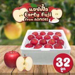 [ยกลัง 32 ลูก] แอปเปิ้ล เออร์ลี่ ฟูจิ จาก เมืองอาโอโมริ【Early Fuji Apple from Aomori】