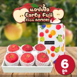 [Gift Box 6 ลูก] แอปเปิลเออร์ลีฟูจิ  จากเมืองอาโอโมริ - Early Fuji Apple from Aomori