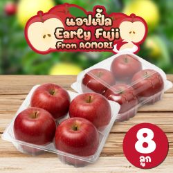 [แพ็คใส 8 ลูก] แอปเปิลเออร์ลีฟูจิ จากเมืองอาโอโมริ - Early Fuji Apple from Aomori