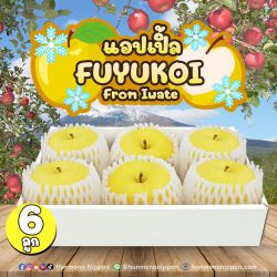 [Gift Box 6 ลูก] แอปเปิลฟุยุโค่ย (ฮารุกะ) จากเมืองอิวาเตะ - FuyuKoi (Haruka) Apple from Iwate