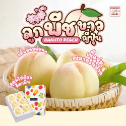 [Gift Box 6 ลูก] พีชขาว จากเมืองยามานาชิ - White Peach from Yamanashi 