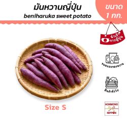 มันหวานญี่ปุ่น เบนิฮารุกะ ไซส์ S ขนาด 1 กก. - Sweet Potato Benni Haruka S Size