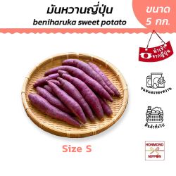 มันหวานญี่ปุ่น เบนิฮารุกะ ไซส์ S ขนาด 5 กก. - Sweet Potato Benni Haruka S Size