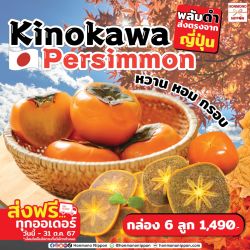 [Gift Box 6 ลูก] พลับญี่ปุ่นคิโนะคาวะ เนื้อดำ - Kinokawa Persimmon (Black Flesh) 