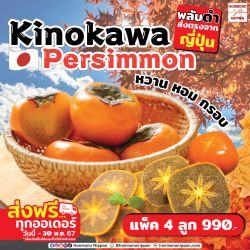 [กล่องพลาสติกใส 4 ลูก] พลับญี่ปุ่นคิโนะคาวะ เนื้อดำ - Kinokawa Persimmon (Black Flesh) 