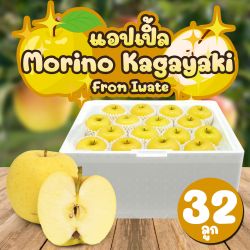 [ยกลัง 32 ลูก] แอปเปิลโมริโนะ คากายาคิ จากเมืองอิวาเตะ  - Morino Kagayaki Apple from Iwate