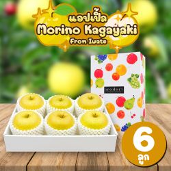 [Gift Box 6 ลูก] แอปเปิลโมริโนะ คากายาคิ จากเมืองอิวาเตะ - Morino Kagayaki Apple from Iwate