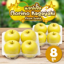 [แพ็คใส 8 ลูก] แอปเปิลโมริโนะ คากายาคิ จากเมืองอิวาเตะ  - Morino Kagayaki Apple from Iwate