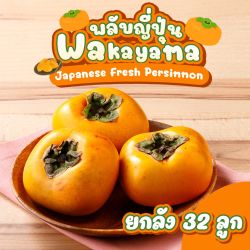 [ยกลัง 32 ลูก] พลับญี่ปุ่น สายพันธุ์นากาตานิ จากเมืองวากายามะ - Fresh Nakatani Japanese Persimmon From Wakayama