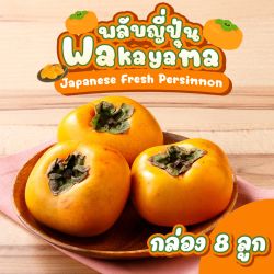 [Gift Box 8 ลูก] พลับญี่ปุ่น สายพันธุ์นากาตานิ จากเมืองวากายามะ - Fresh Nakatani Japanese Persimmon From Wakayama