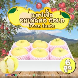 [Gift Box 6 ลูก] แอปเปิลชินาโนะโกลด์ จากเมืองอิวาเตะ - Shinano Gold Apple from Iwate