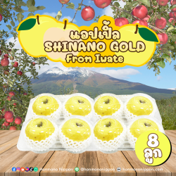 [แพ็คใส 8 ลูก] แอปเปิลชินาโนะโกลด์ จากเมืองอิวาเตะ - Shinano Gold Apple from Iwate