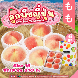 [Gift Box 6 ลูก] ลูกพีช จากเมืองยามานาชิ (Size 16) - Peach from Yamanashi