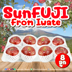 [แพ็คใส 8 ลูก] แอปเปิลซันฟูจิ จากเมืองอิวาเตะ - Sun Fuji Apple from Iwate