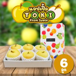 [Gift Box 6 ลูก] แอปเปิลสายพันธุ์โทกิ จากเมืองอิวาเตะ - Toki Apple from Iwate