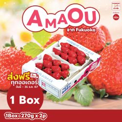 [Set 1 Box] สตรอว์เบอร์รี อะมะโอะ จากเมืองฟุกุโอกะ (270 กรัม x 2 แพ็ค) - Amaou Strawberry from Fukuoka