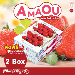 [Set 2 Box] สตรอว์เบอร์รี อะมะโอะ จากเมืองฟุกุโอกะ (270 กรัม x 4 แพ็ค) - Amaou Strawberry from Fukuoka