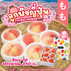 [Gift Box 6 ลูก] ลูกพีช จากเมืองยามากาตะ (Size 16) - Peach from Yamagata