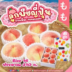 [Gift Box 6 ลูก] ลูกพีช จากเมืองยามานาชิ  (Size 16) - Peach from Yamanashi