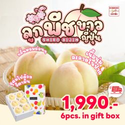 [Gift Box 6 ลูก] พีชขาว จากเมืองยามานาชิ - White Peach from Yamanashi 