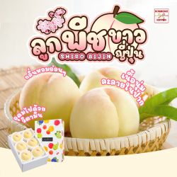 [Gift Box 6 ลูก] พีชขาว จากเมืองยามานาชิ - White Peach from Yamanashi 