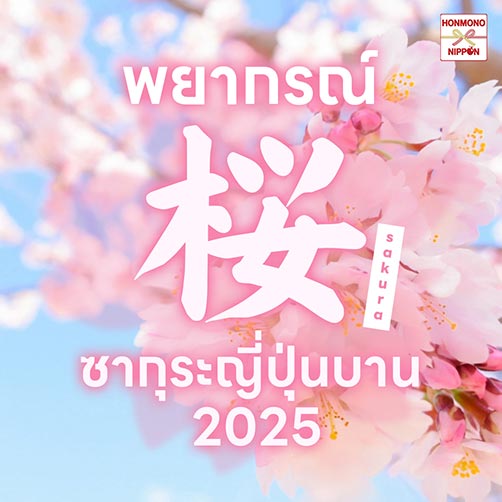 พยากรณ์ ซากุระบาน 2025